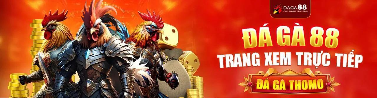 Đá gà thomo 67 trực tiếp hôm nay, nhà cái hàng đầu Việt Nam