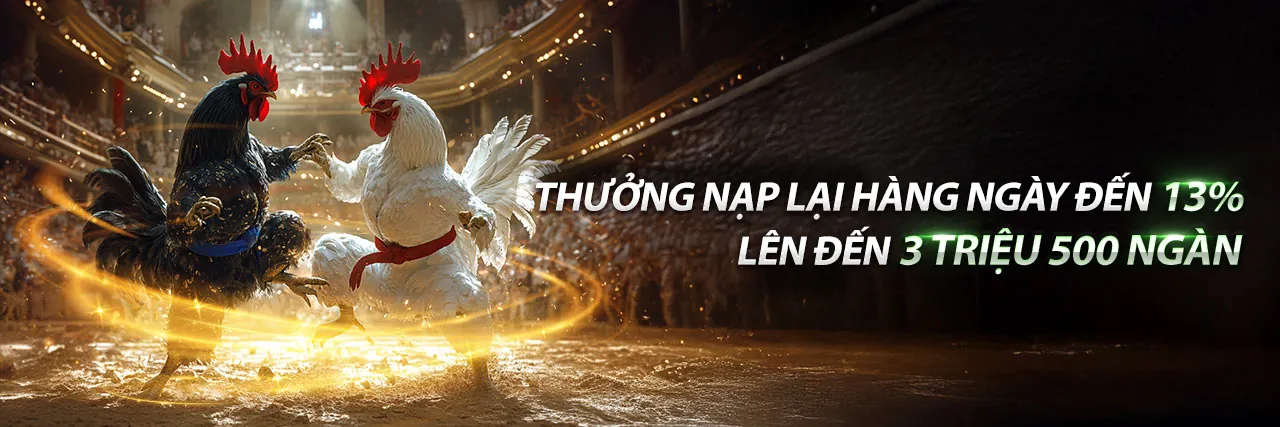 Sàn đấu đá gà thomo 67 với không khí sôi động