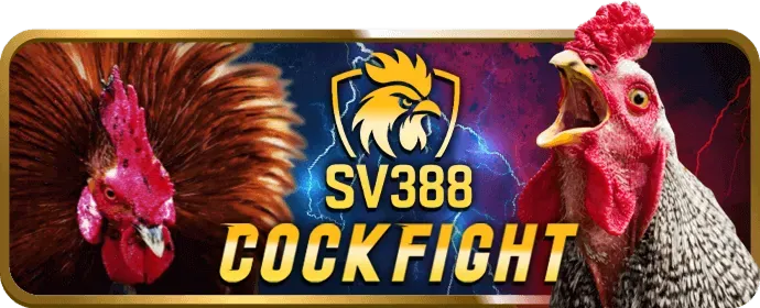 Hướng dẫn bắn cá và đá gà thomo 67